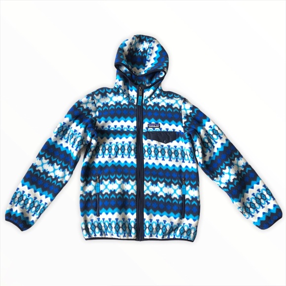 Patagonia Jackets & Blazers - Patagonia Synchilla Lightweight Hooded Zip Jacket